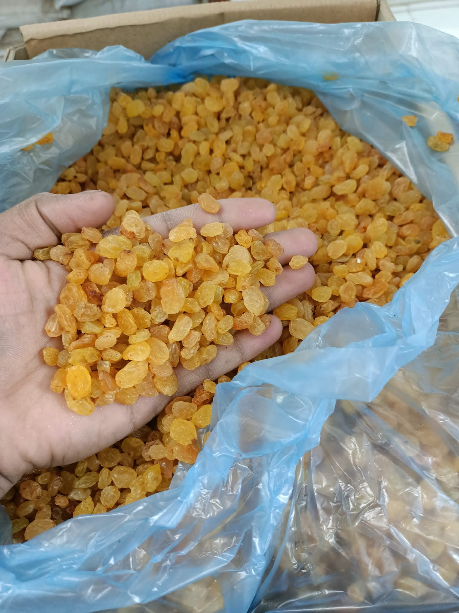 আফগানি গোল্ডেন কিসমিস / বিচি ছাড়া