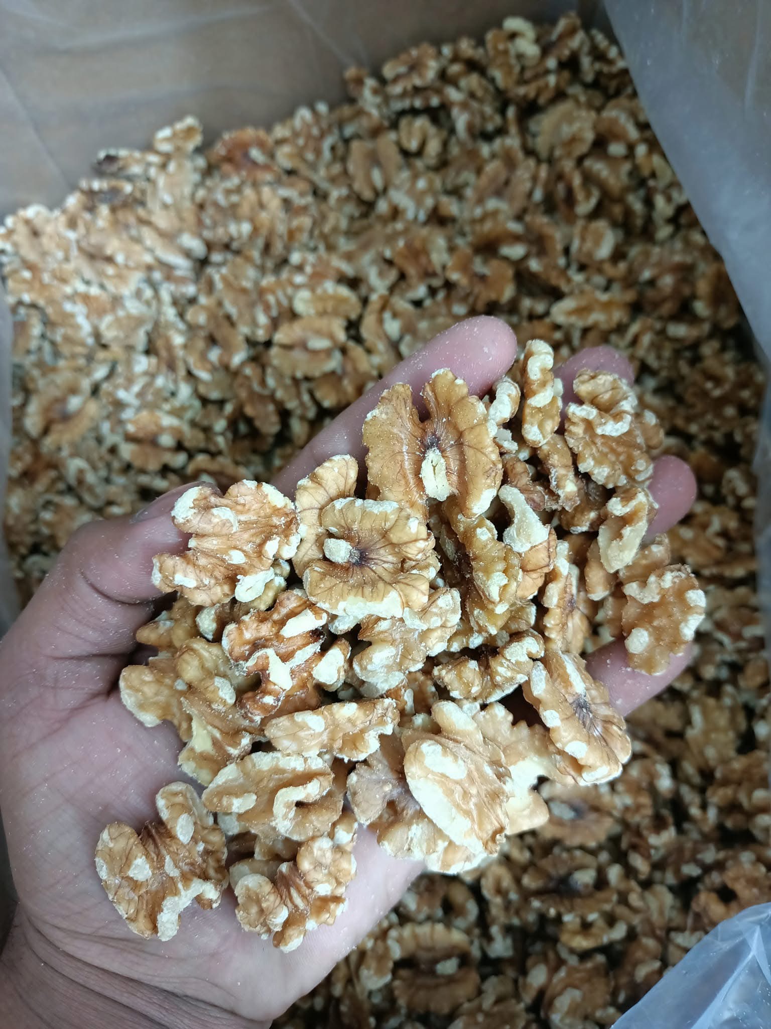 প্রিমিয়াম কোয়ালিটির আমেরিকান আখরোট