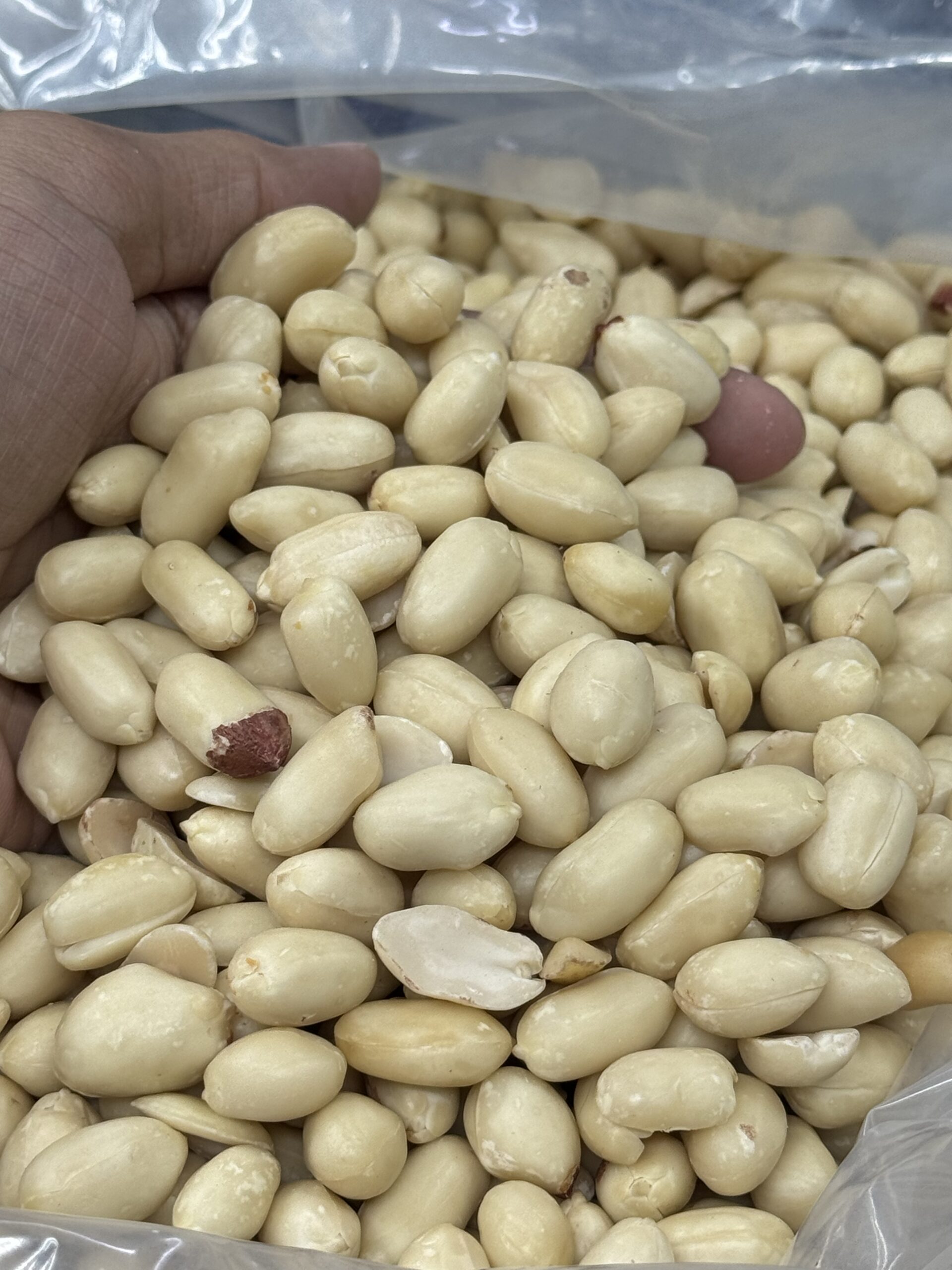প্রিমিয়াম থাই চীনা বাদাম / Thai Badam