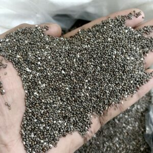 প্রিমিয়াম ব্রাজিলিয়ান চিয়াসিড / Chiyaseed