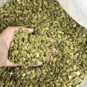 প্রিমিয়াম কুমড়া বীজ / Pamkin Seeds