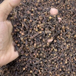 লবঙ্গ (Cloves)